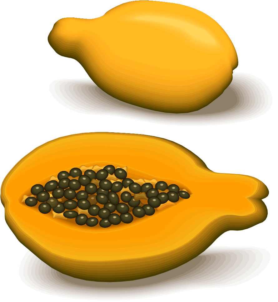 Wholeand Halved Papaya Illustration