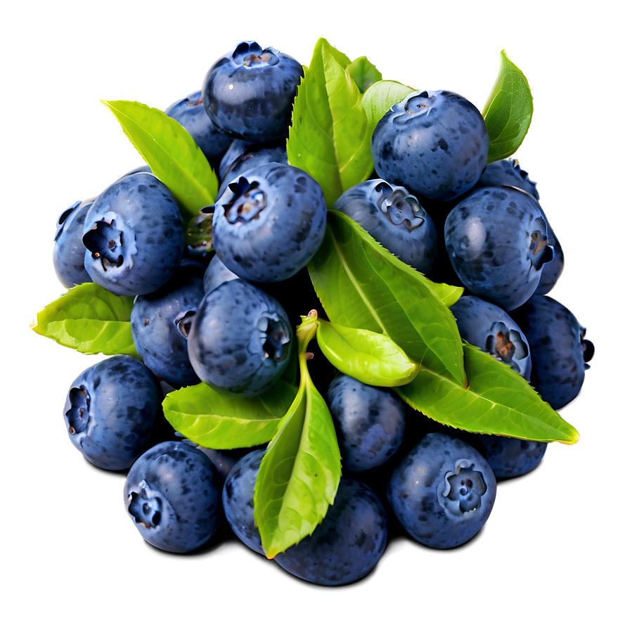 Wholesome Blueberry Handful Png 93