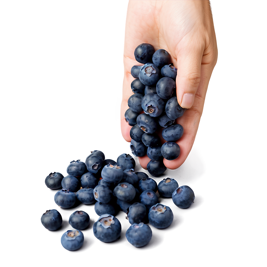 Wholesome Blueberry Handful Png Hoy