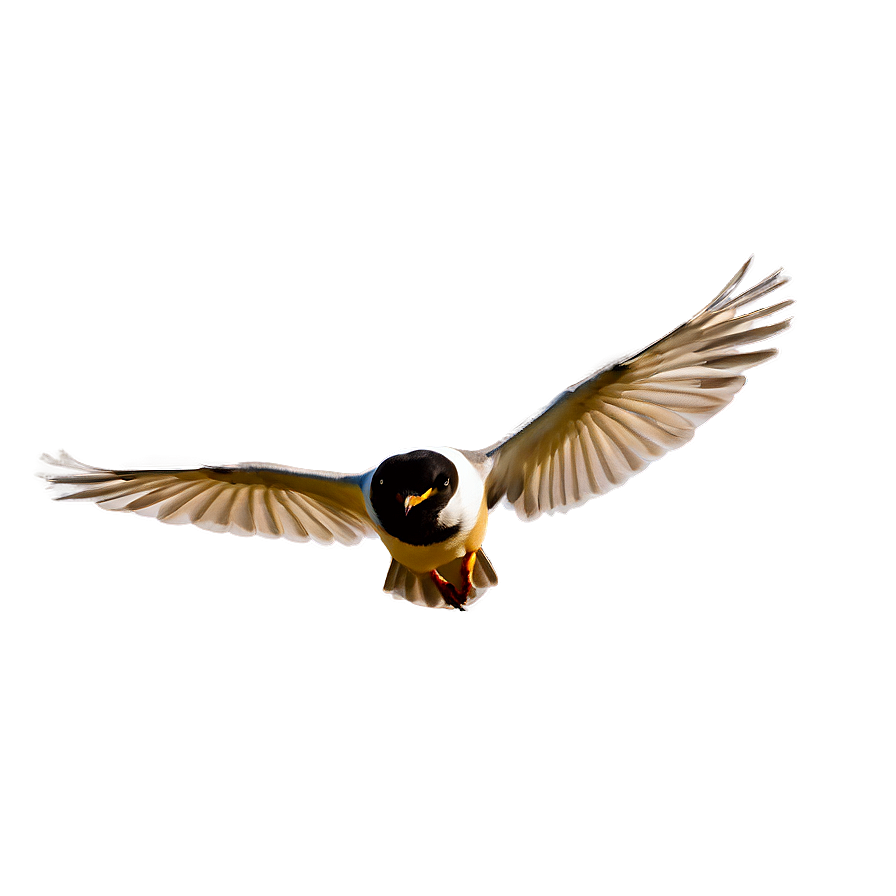 Wild Bird In Flight Png 29