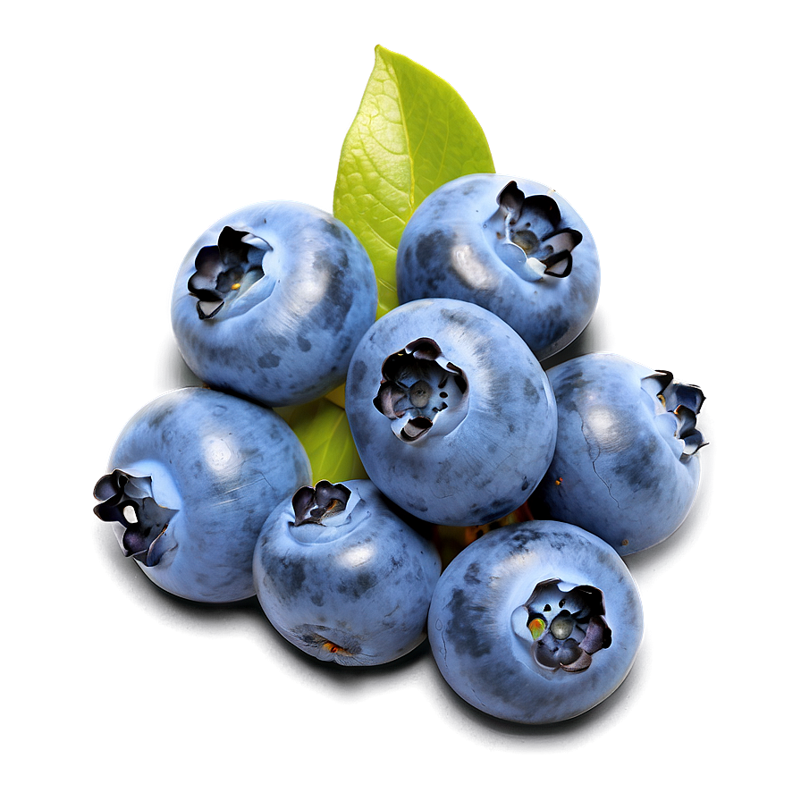 Wild Blueberry Bunch Png 55