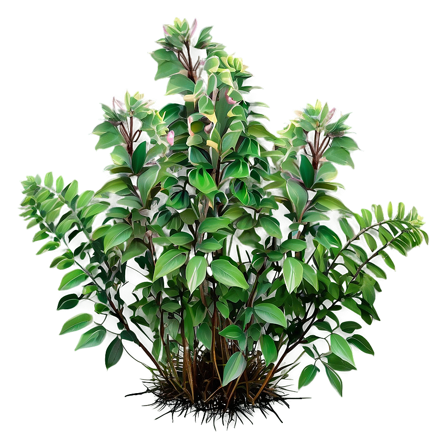 Wild Flower Bush Png Xsy