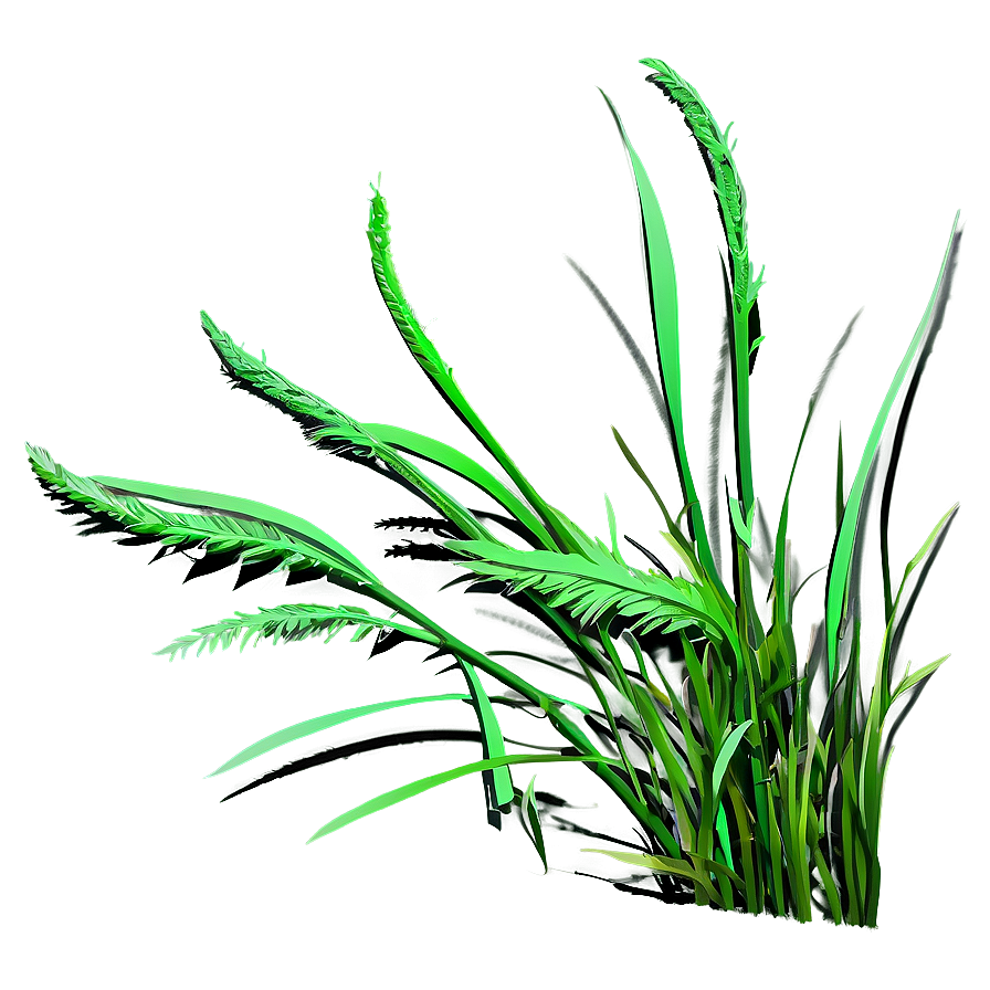 Wild Grass Detail Png 31