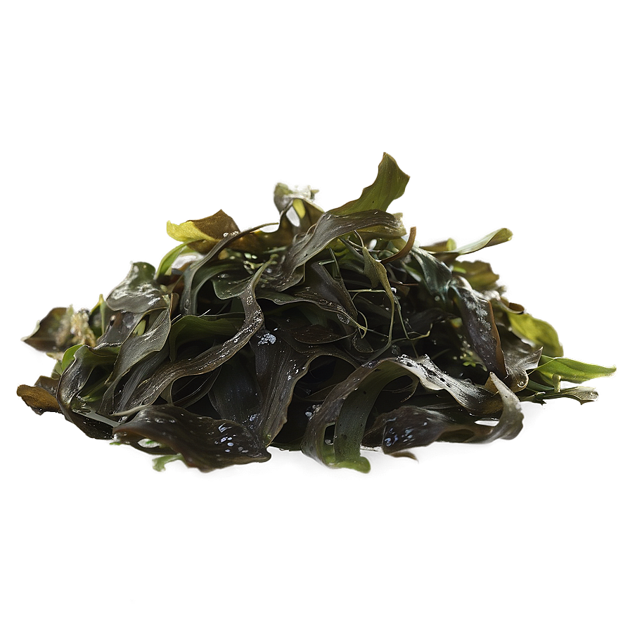 Wild Harvested Seaweed Png 05242024