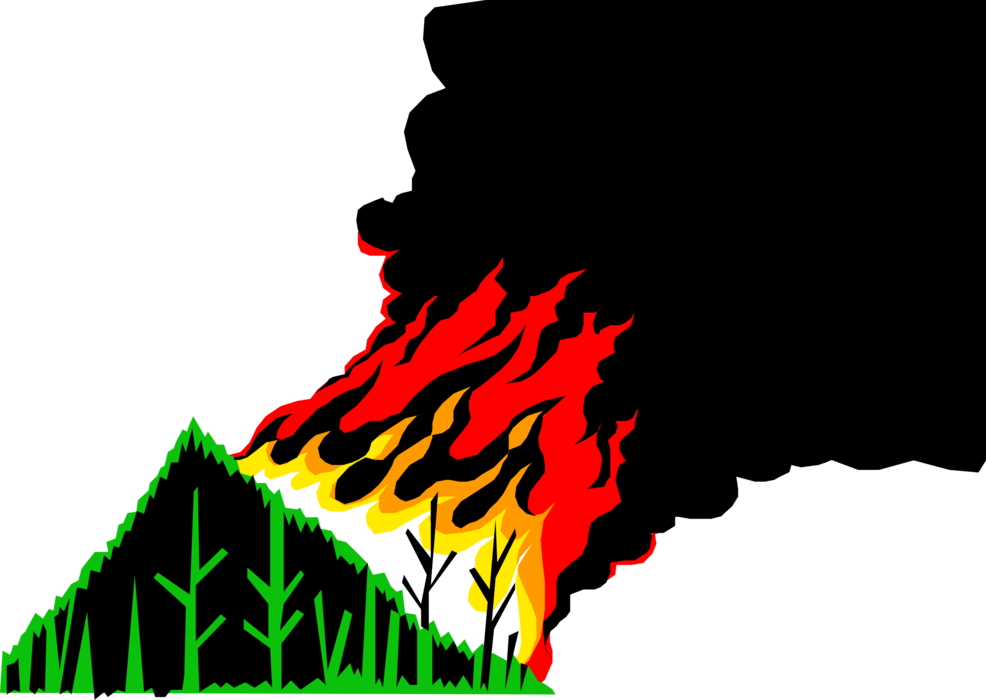 Wildfire Vector Illustration