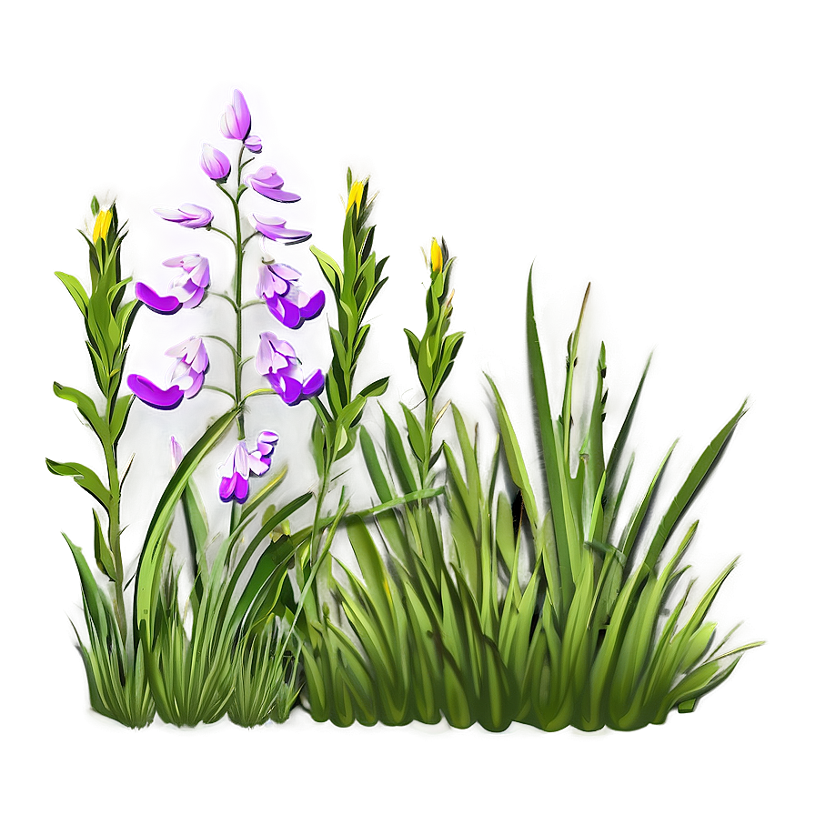 Wildflower And Grass Png 04292024