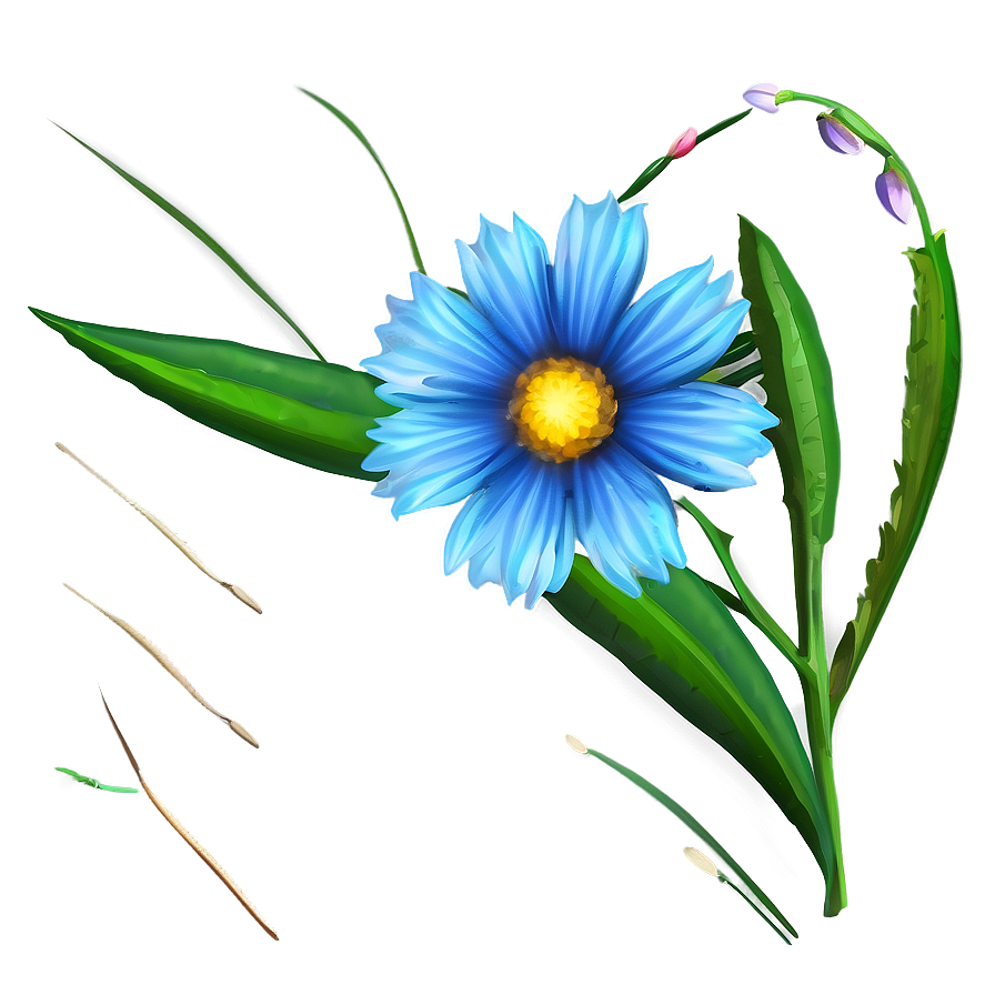 Wildflower Frame Png Tbe91