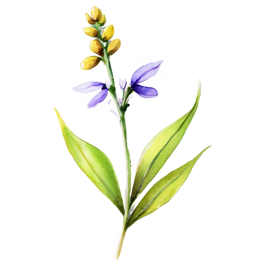 Wildflower Watercolor Sketch Png 88