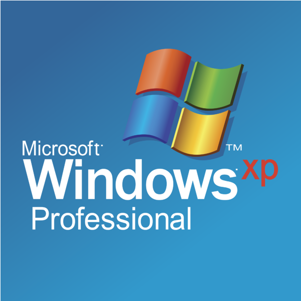 Windows X P Professional Logo