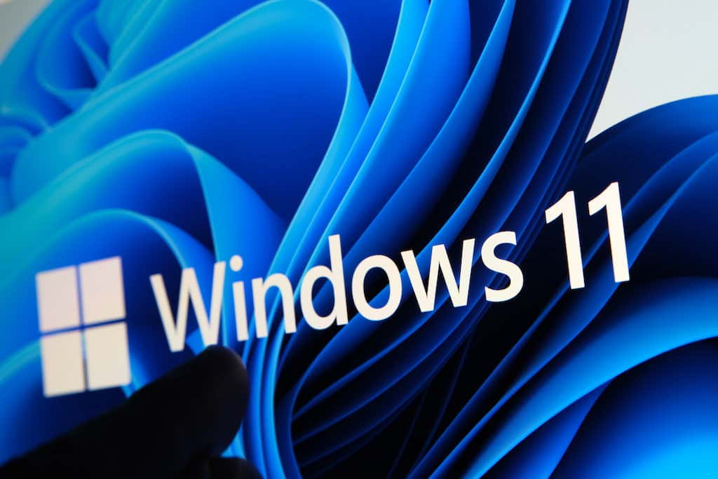 Windows11 Logo Display