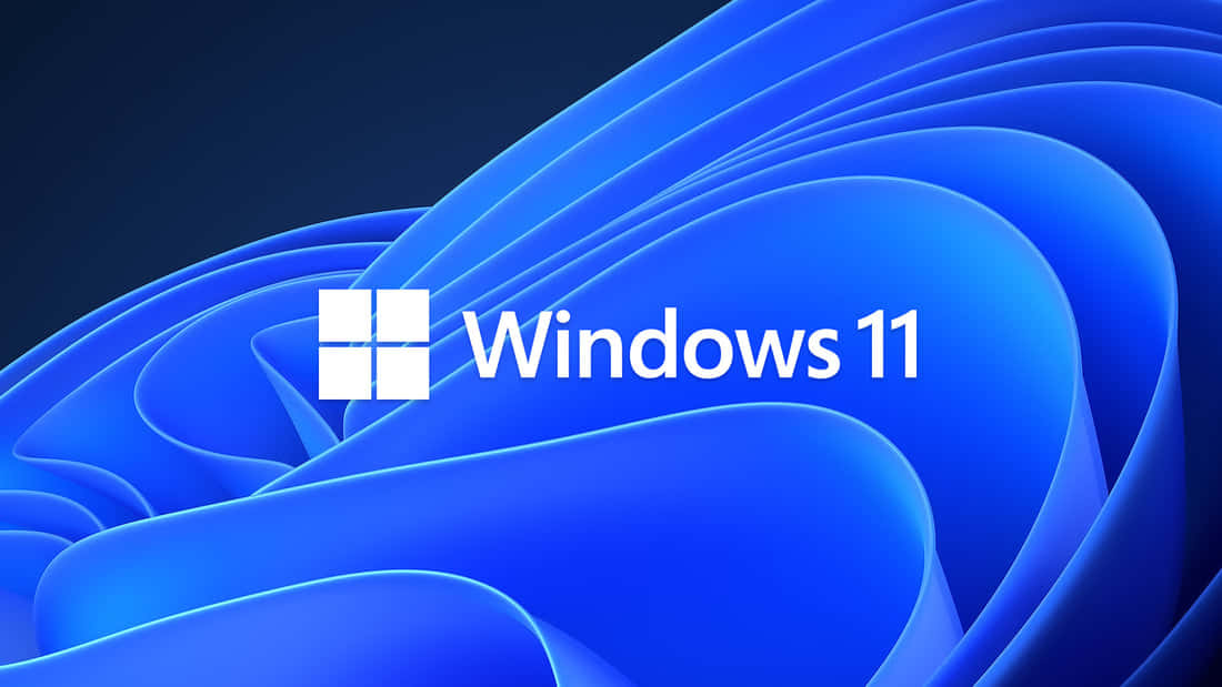 Windows11 Official Wallpaper