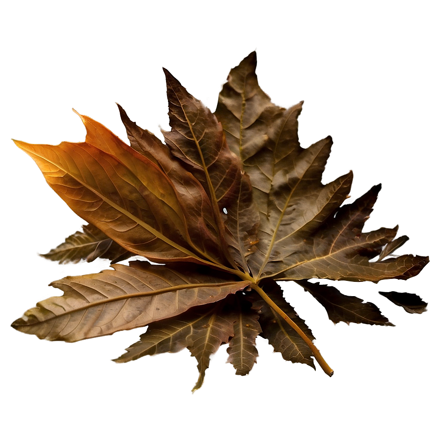 Windy Day Fallen Leaves Png Jpy66