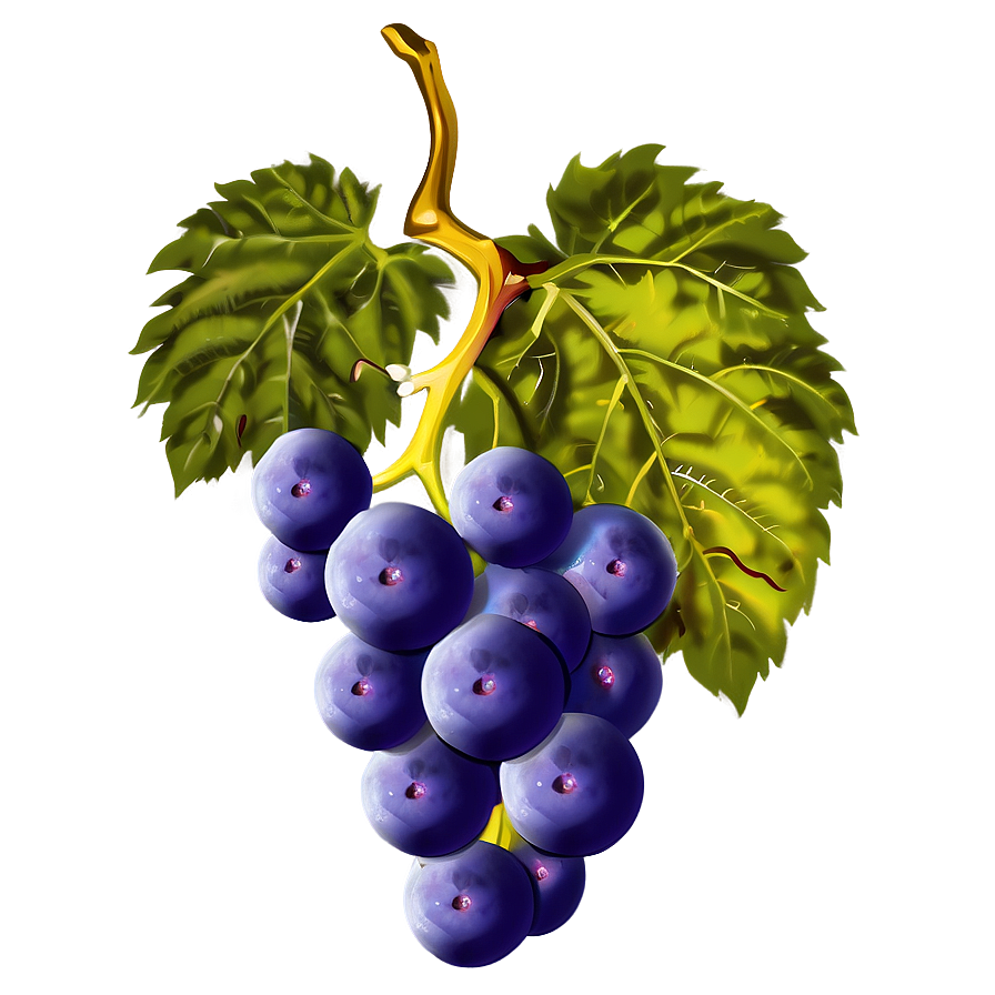 Wine Grape Png Xpe