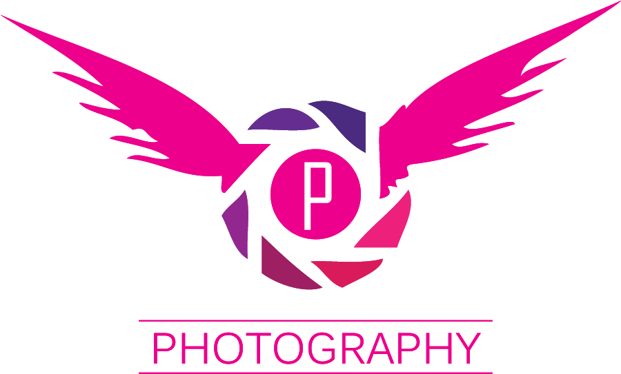 Winged Camera Photography Logo