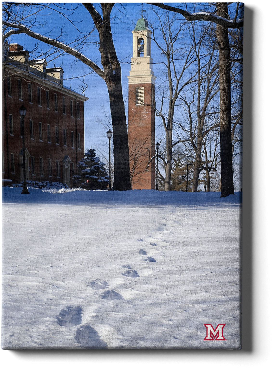 Winter_ Campus_ Snowy_ Footprints