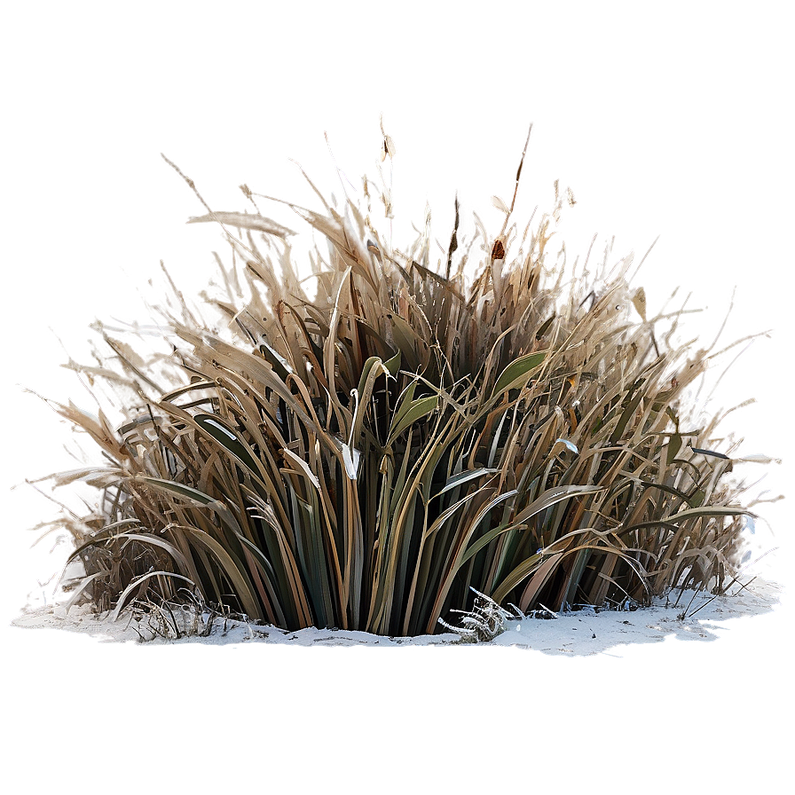 Winter Dead Grass Png 06282024