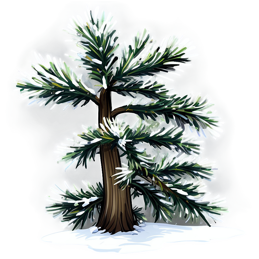 Winter Evergreen Tree Png Bor