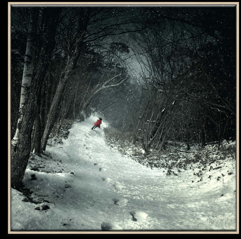 Winter_ Forest_ Path_with_ Red_ Jacket