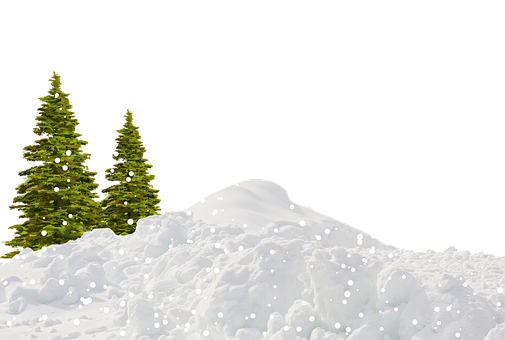 Winter Night Snowfall