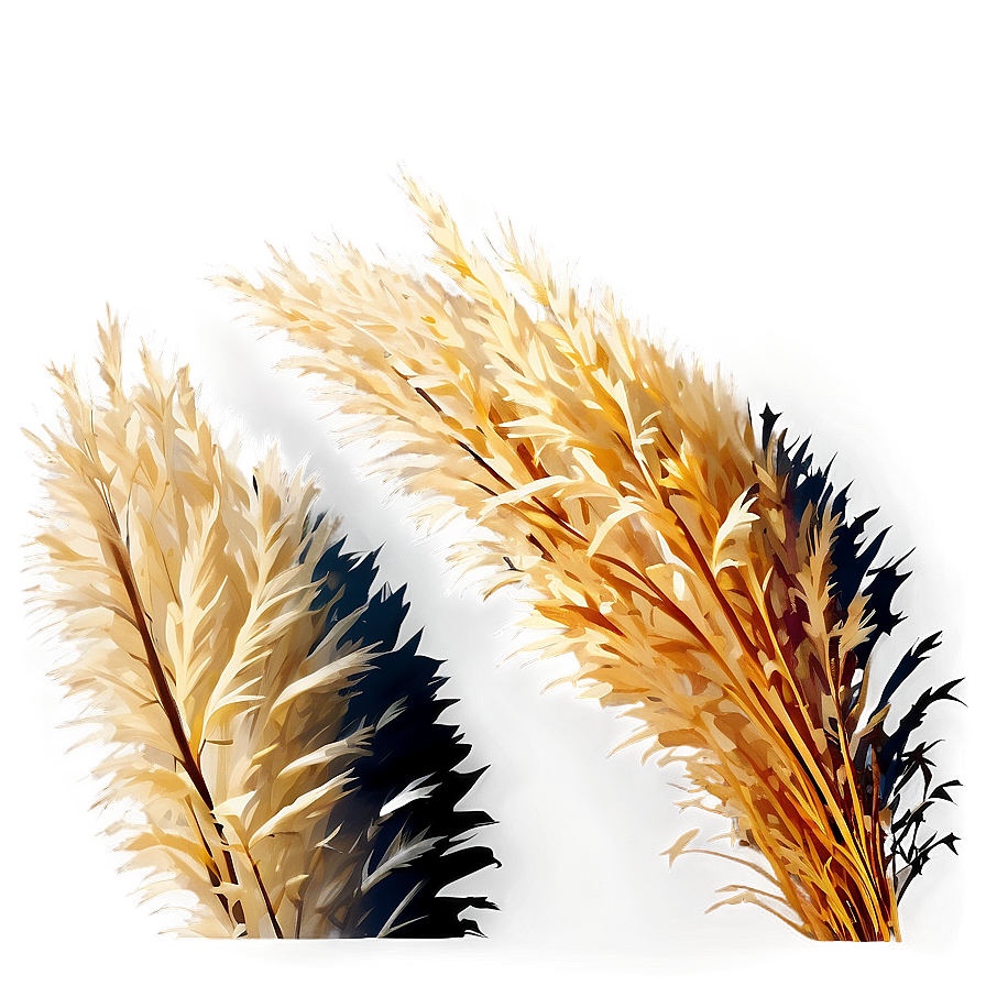 Winter Pampas Grass Png 06122024