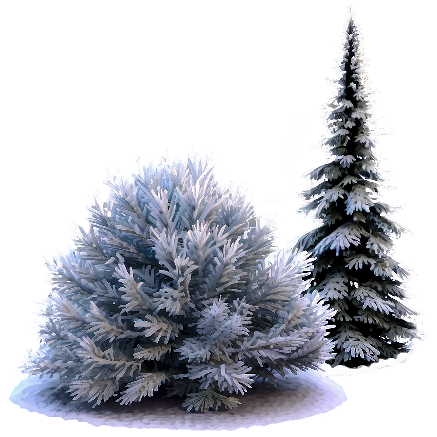 Winter Pine Tree Scene Png 46