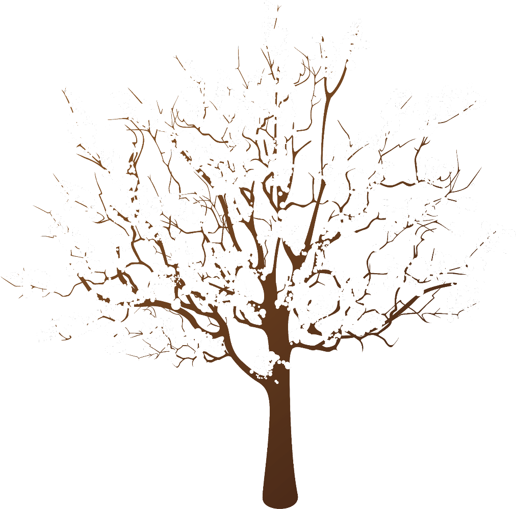 Winter Snow Covered Tree Illustration