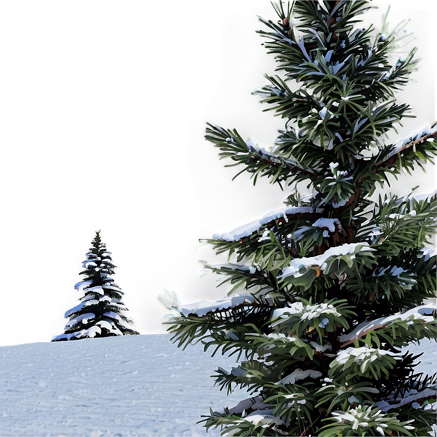 Winter Spruce Tree Scenery Png 06132024