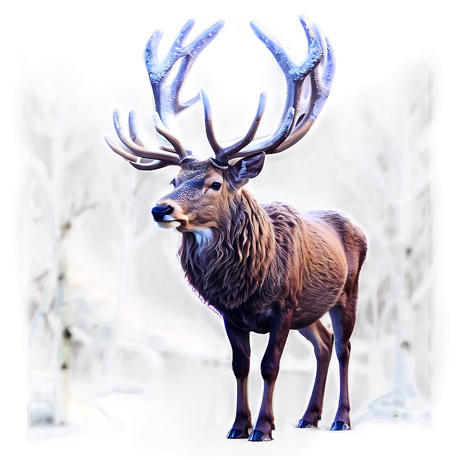 Winter Stag Scene Png Web99