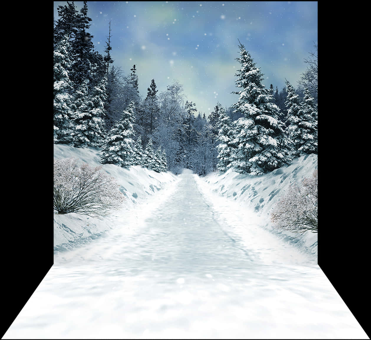 Winter Wonderland Snowy Path.jpg