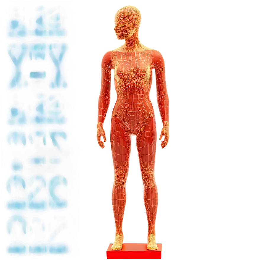 Wireframe Mannequin Png Pna