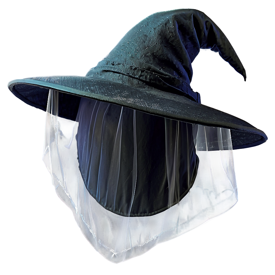 Witch Hat With Veil Png Pls50