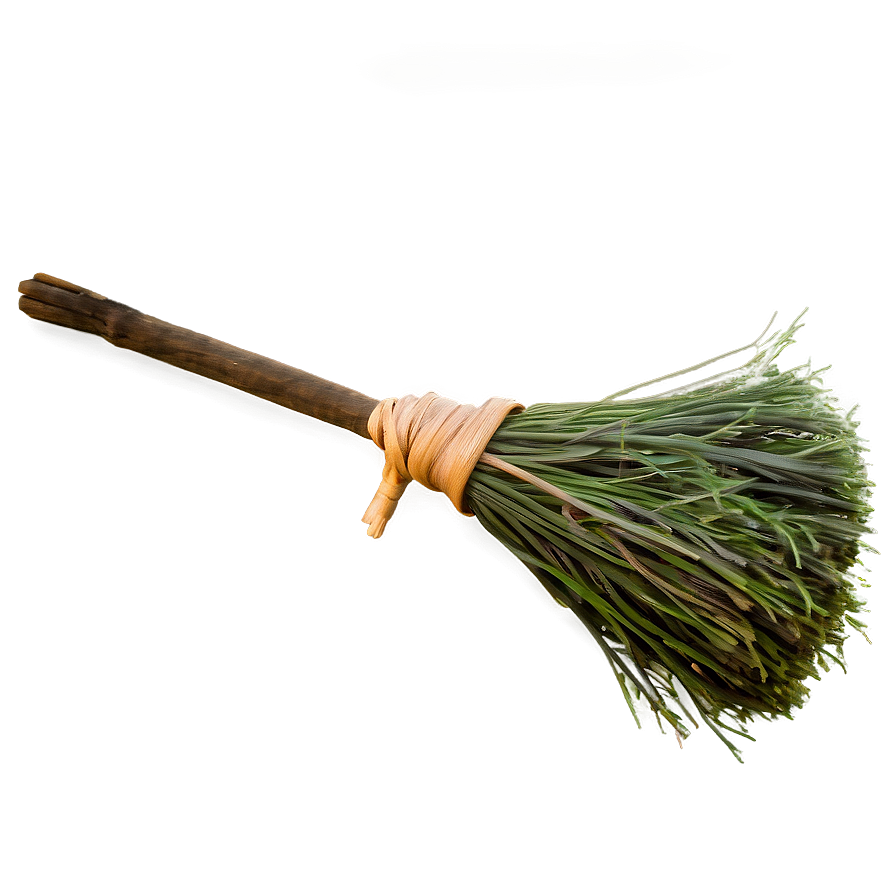 Witches Broom Png 06292024