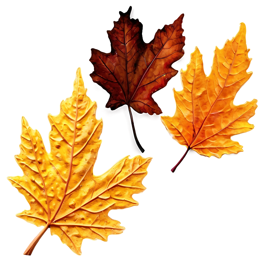 Withered Fall Leaf Png 85