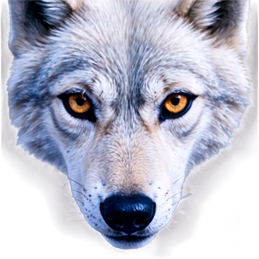 Wolf Eyes With Snowflakes Png 84