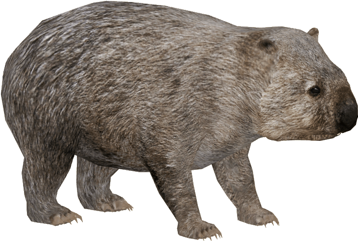 Wombatin Profile