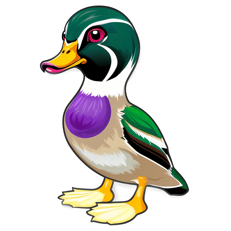 Wood Duck Png 05032024