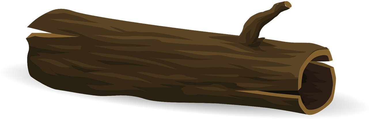 Wooden Log Illustration