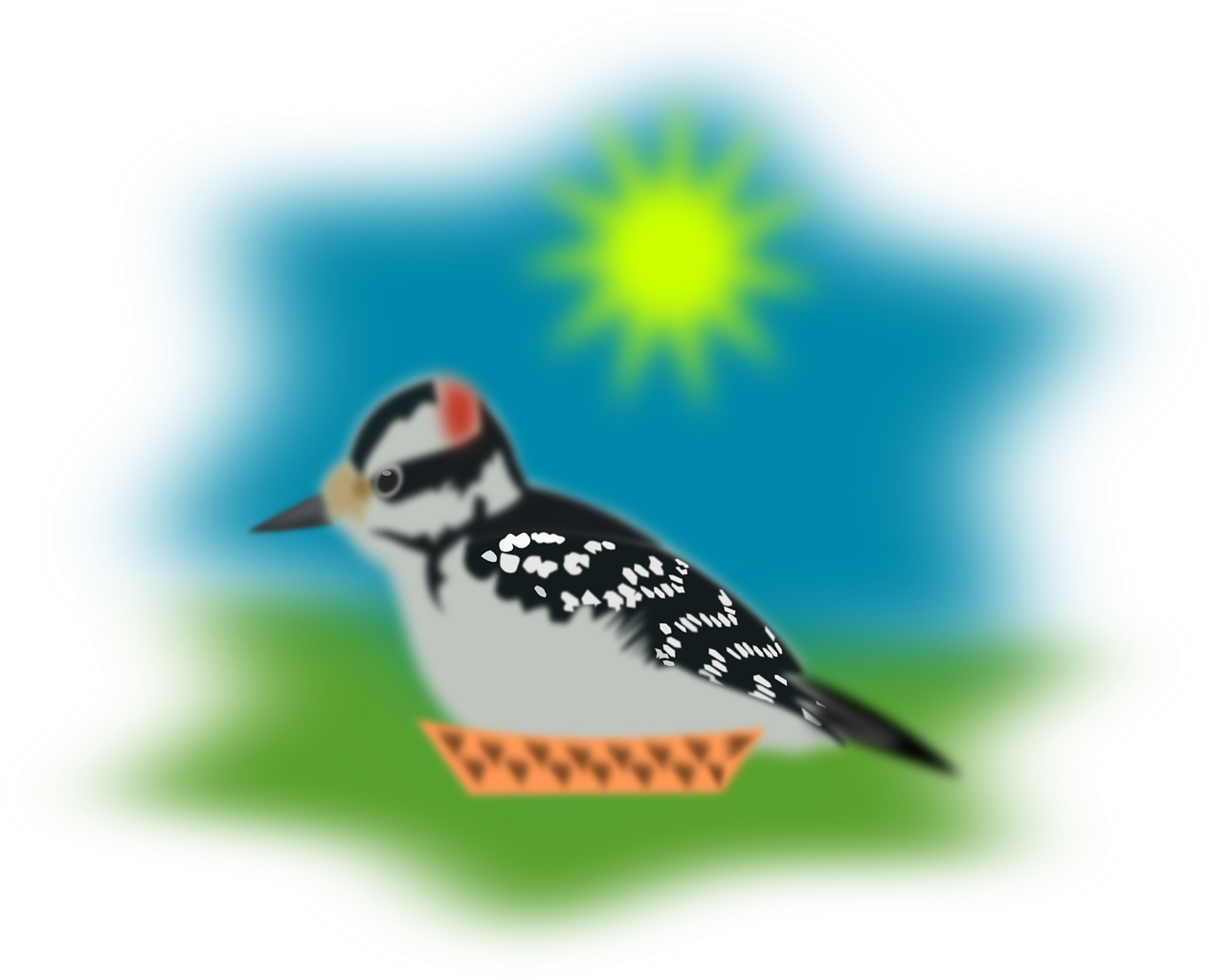 Woodpeckerin Sunshine