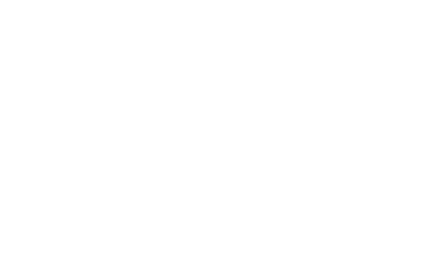 Word Press Logo Gray Background