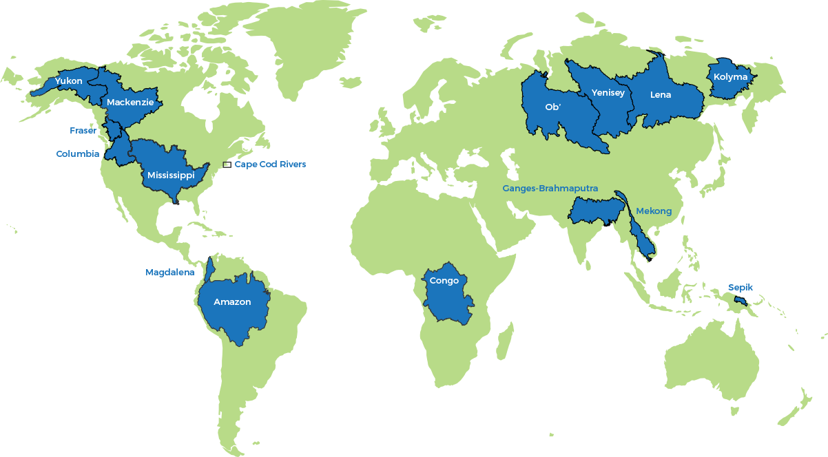 World River Basins Map