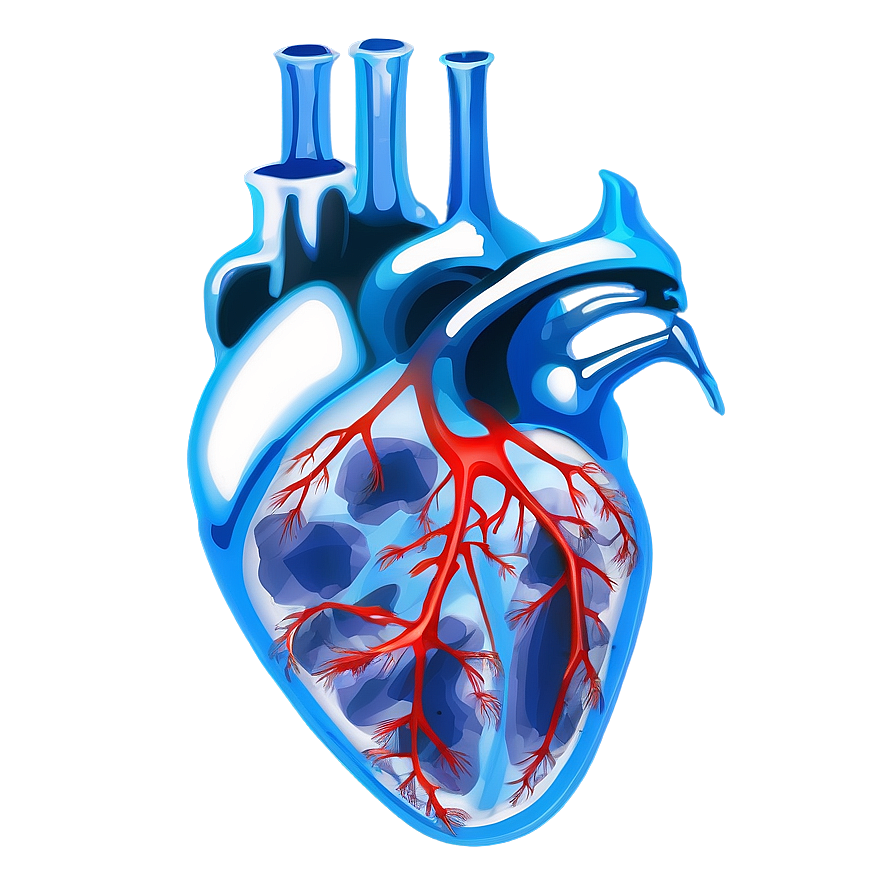 X Ray Heart Image Png 06252024