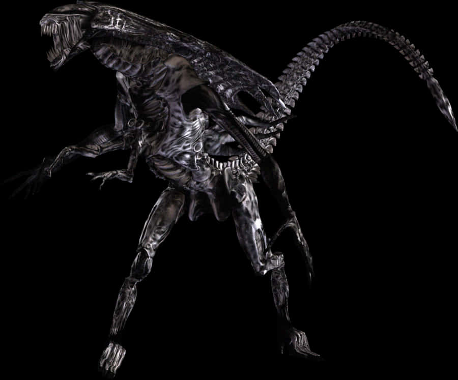 Xenomorph Alien Creature