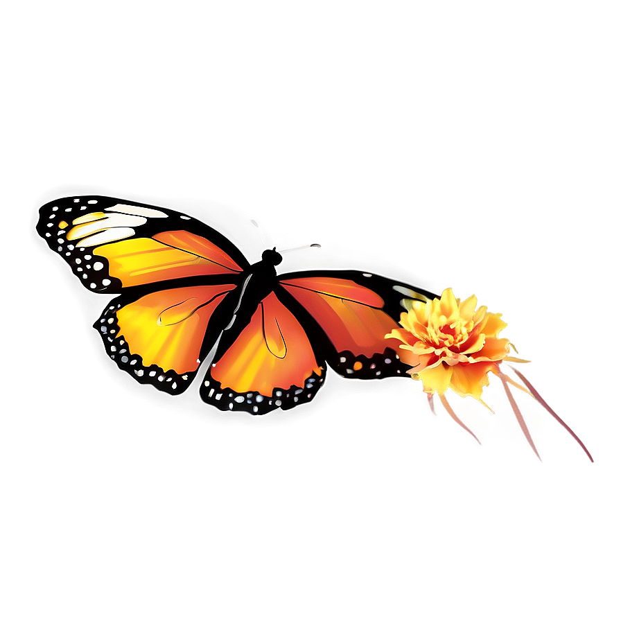 Yellow And Orange Butterfly Png Bwh63