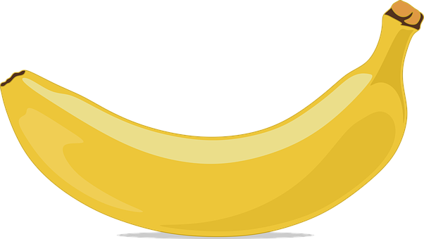 Yellow Banana Vector Illustration