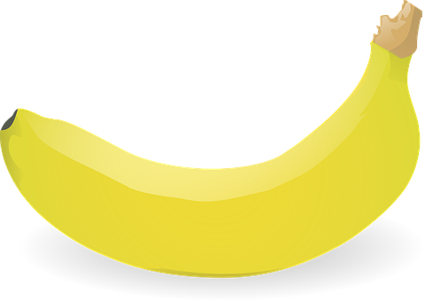 Yellow Banana Vector Illustration