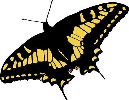 Yellow Black Butterfly Illustration