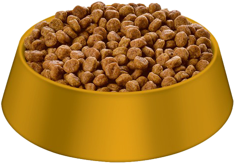 Yellow Bowl Fullof Dog Food