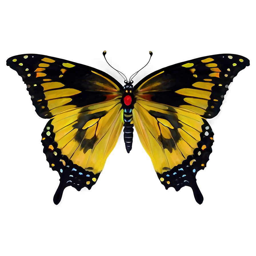 Yellow Butterfly Duo Png 72