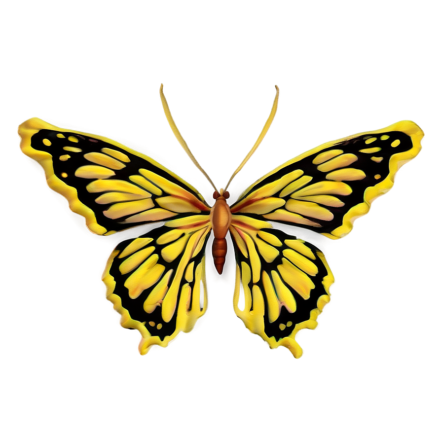 Yellow Butterfly Pattern Png Mmi