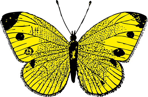 Yellow Butterfly Silhouette